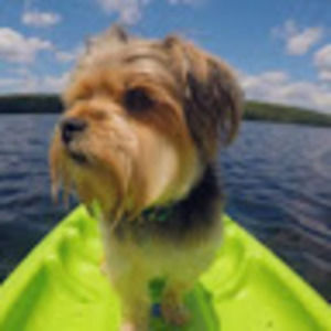 Meet your Posher, Sophia